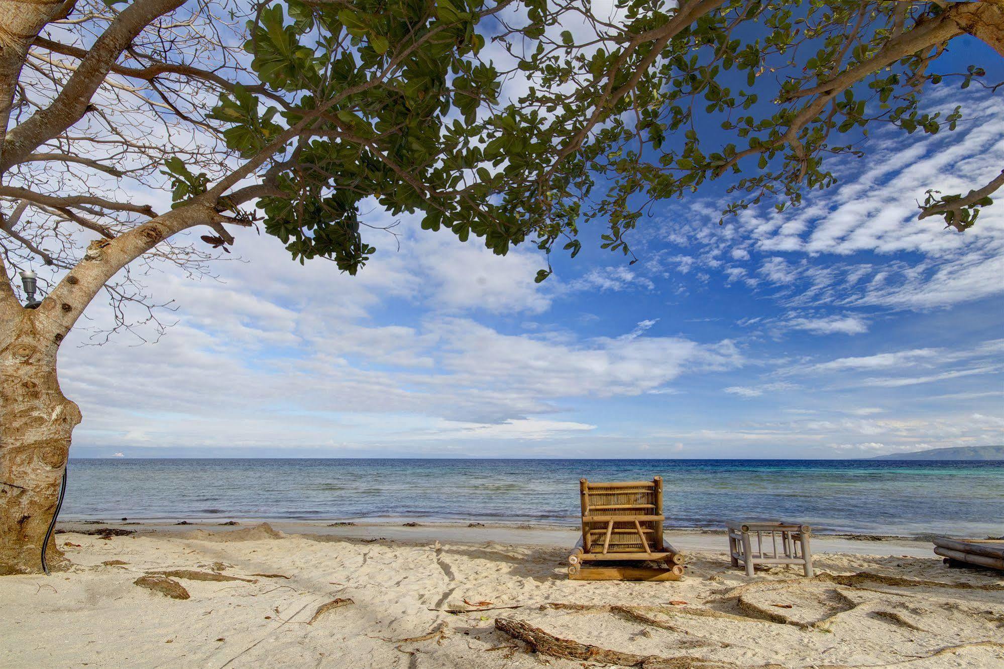 Momo Beach House Panglao Exteriér fotografie